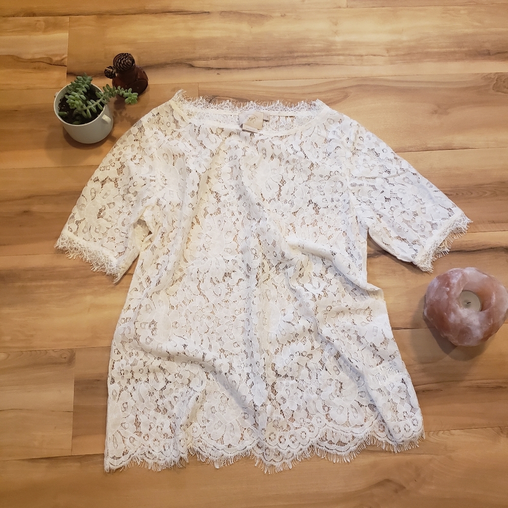 Gorgeous Lace Blouse